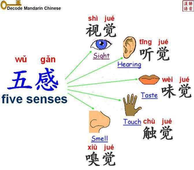 Những mẹo chắc chắn giúp bạn cải thiện khả năng giao tiếp bằng tiếng Trung 2 wu